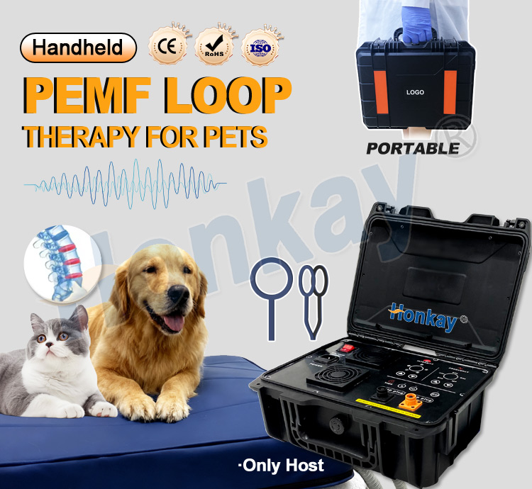 Personal Pet Care PEMF Device  - Health Wellness Usa review and price
