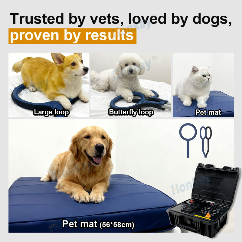 Personal Pet Care PEMF Device  - Health Wellness Usa review and price