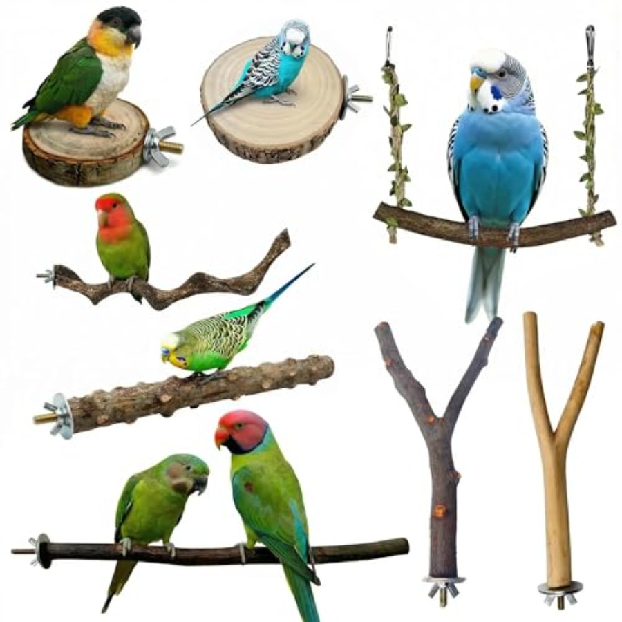 8PCS natural wood bird perches - Health & Wellness Fairs review and price