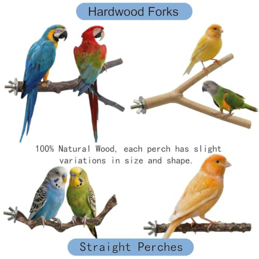 8PCS natural wood bird perches - Health & Wellness Fairs review and price