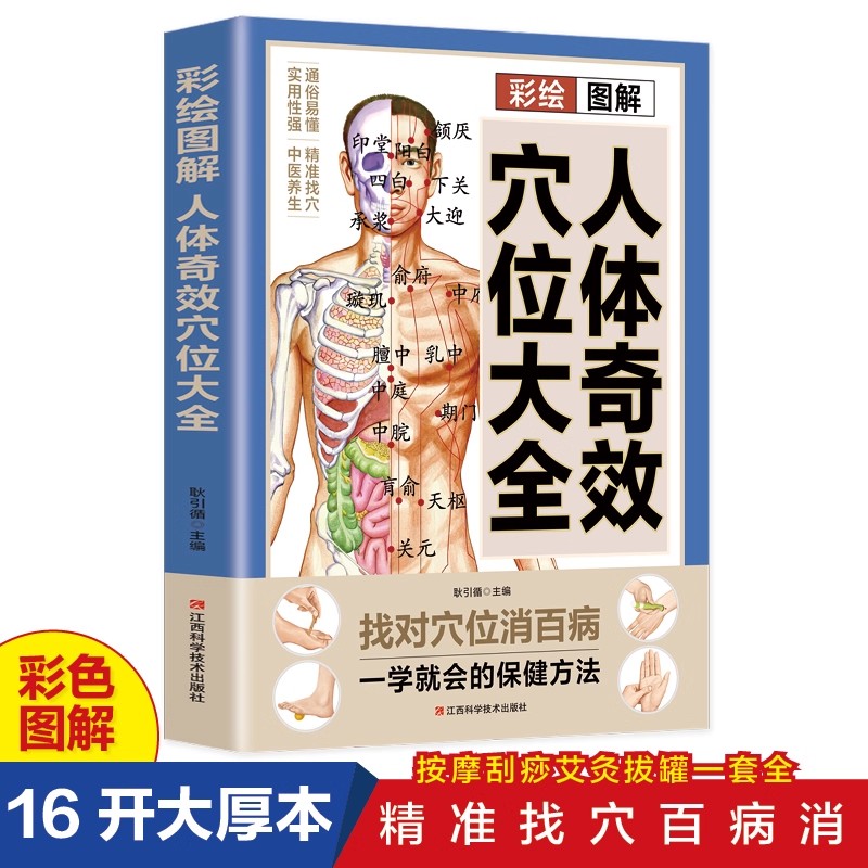 Acupoint Massage & TCM Health  - Health & Wellness Fairs review and price